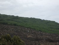otta monte Arcimis20100530 072